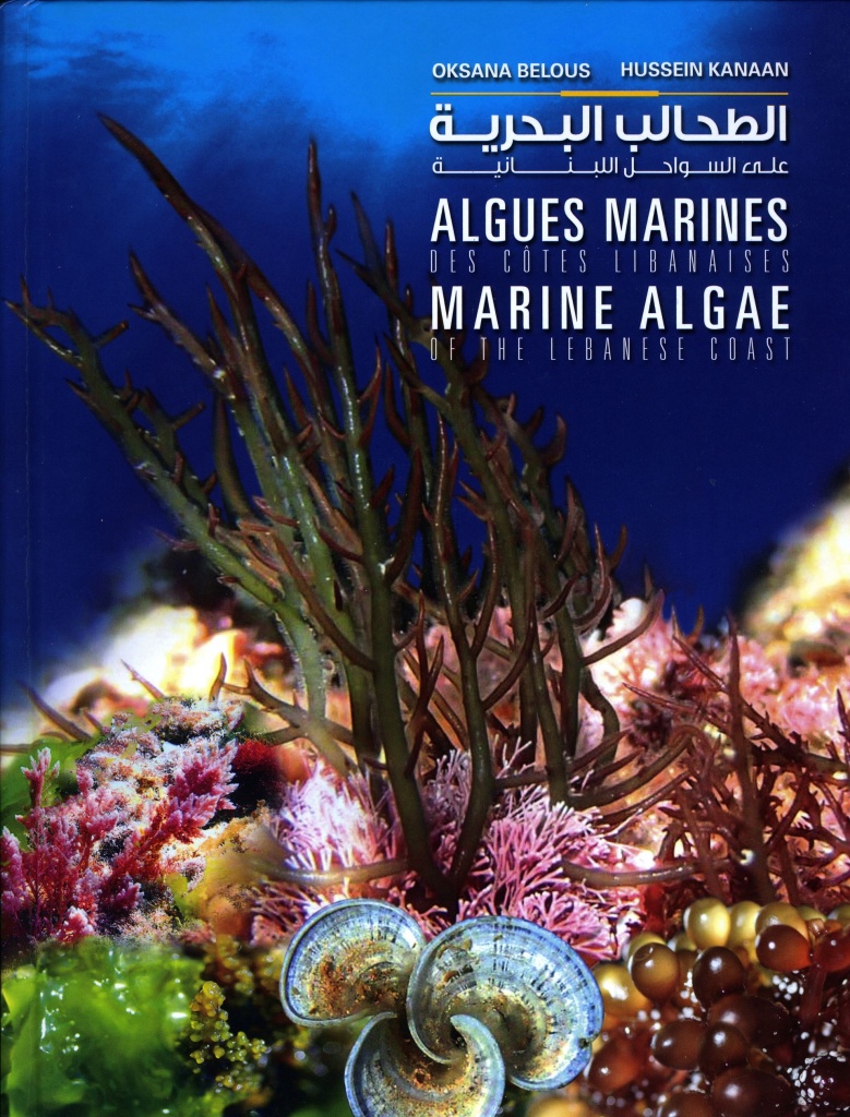 MARINE ALGAE.jpg MARINE ALGAE.jpg